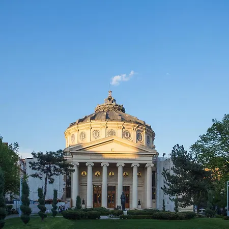 公寓 Eclectic 3 Bedroom Calea Victoriei By Urbanesq