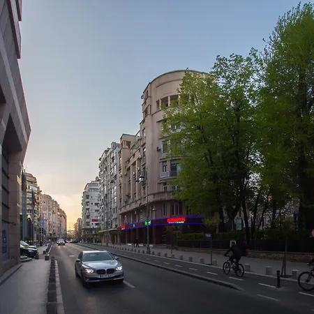 Eclectic 3 Bedroom Calea Victoriei By Urbanesq 公寓 *